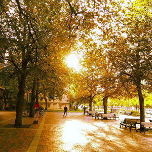 ボストン大学のキャンパス